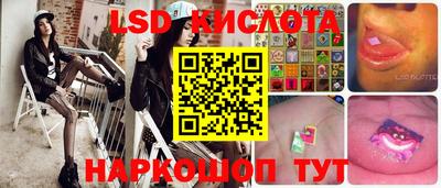 СК Сланцы