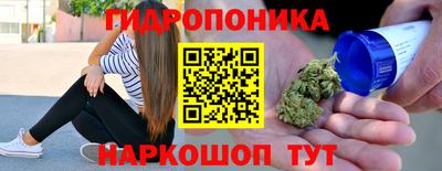 крисы Славянск-на-Кубани