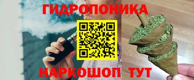 СК Сланцы