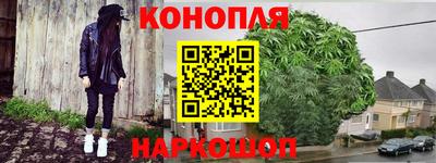 МДПВ Славгород