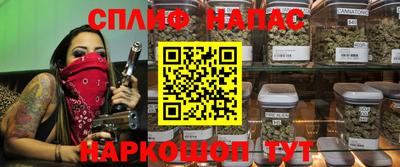 СК Сланцы