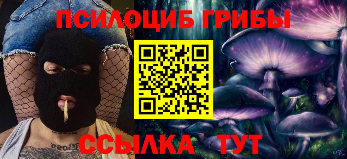 Галлюциногенные грибы GOLDEN TEACHER Петрозаводск