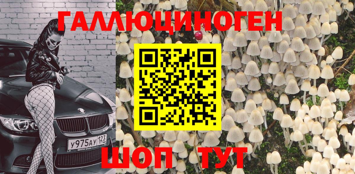 Галлюциногенные грибы Magic Shrooms  Вход с VPN  магазин  наркотиков  Петрозаводск  Галлюциногенные грибы Magic Shrooms 